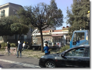 una foto dei lavori di potatura e sagomatura degli alberi