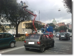 una foto dei lavori di potatura e sagomatura degli alberi